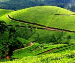 KERALA TOUR PACKAGE